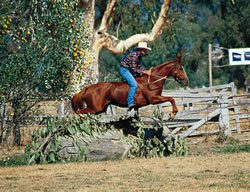 The Man from Snowy River Challenge