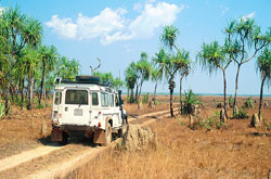 Tracks of Kakadu